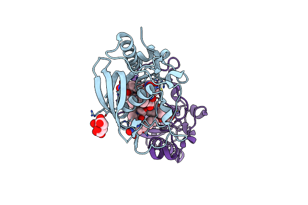 2OKL image