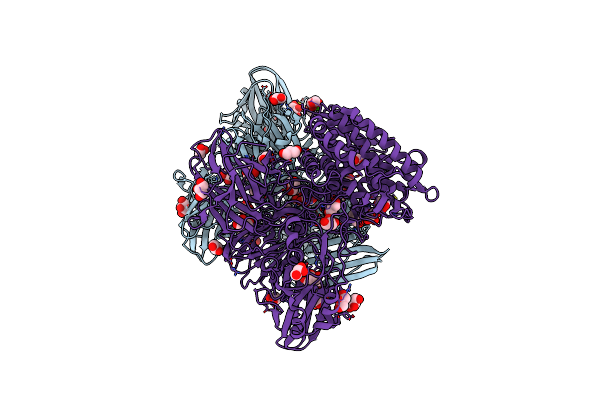 2OKX image
