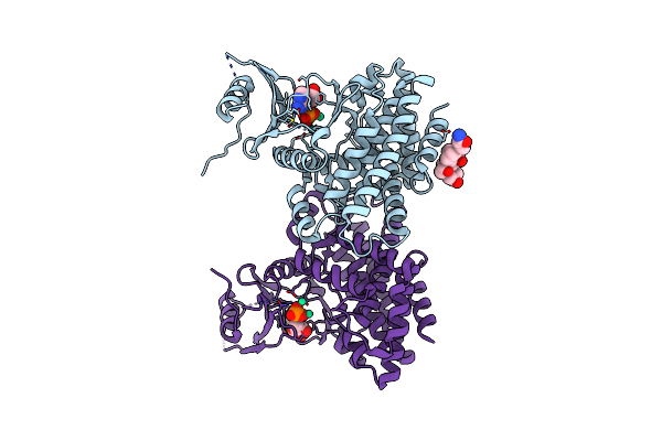 2OLC image