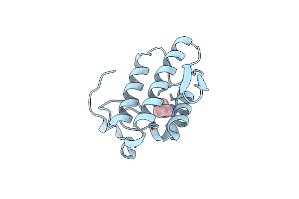 2OLI image