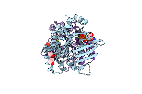 2OLJ image