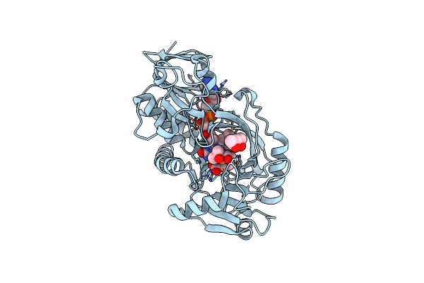 2OLO image
