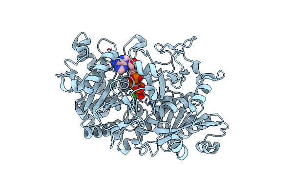 2OLR image