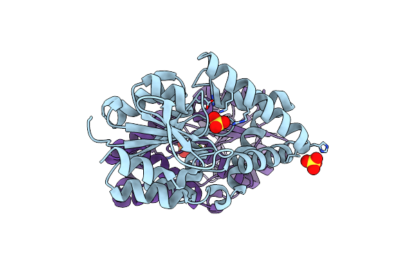 2OM6 image