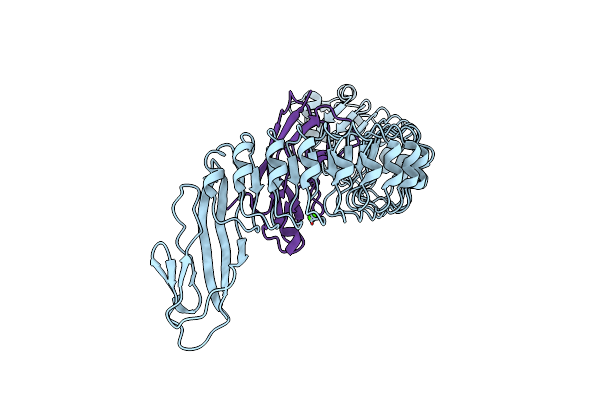 2OMT image