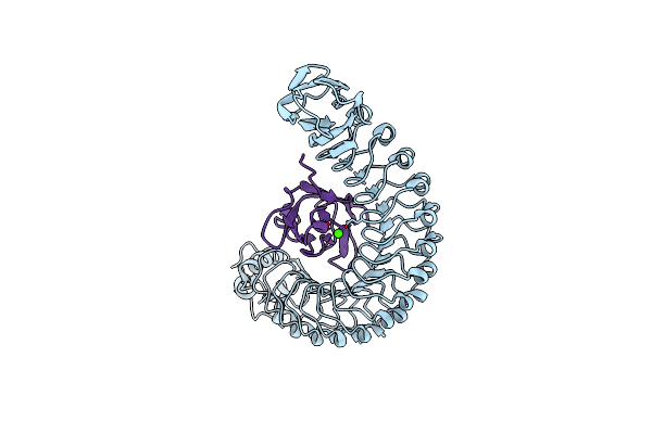 2OMU image