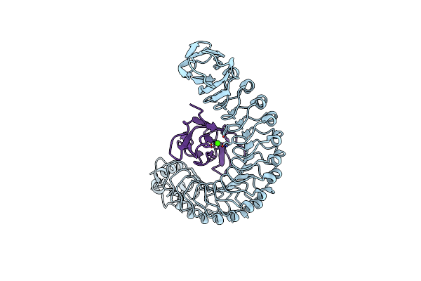 2OMX image
