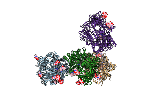 2ONC image