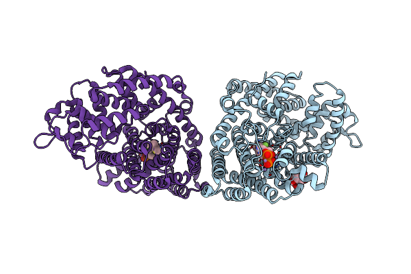 2ONH image