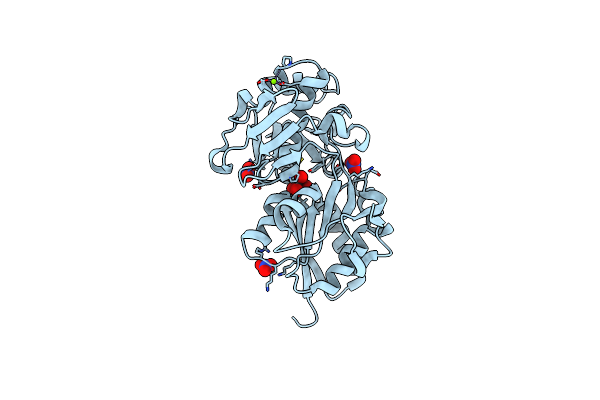 2ONR image
