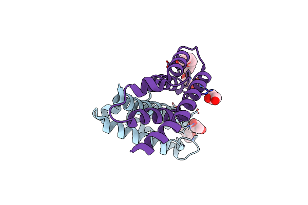 2OOC image