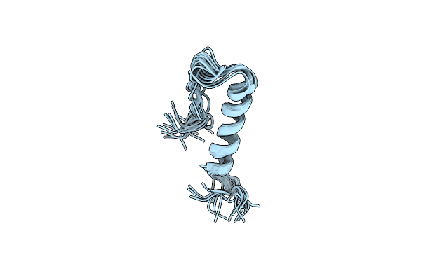 2OON image
