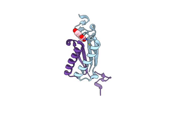 2OPA image