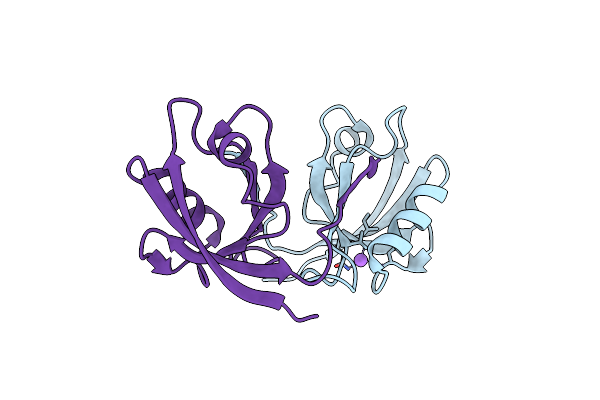 2OPG image
