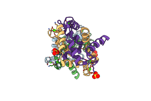 2OPO image