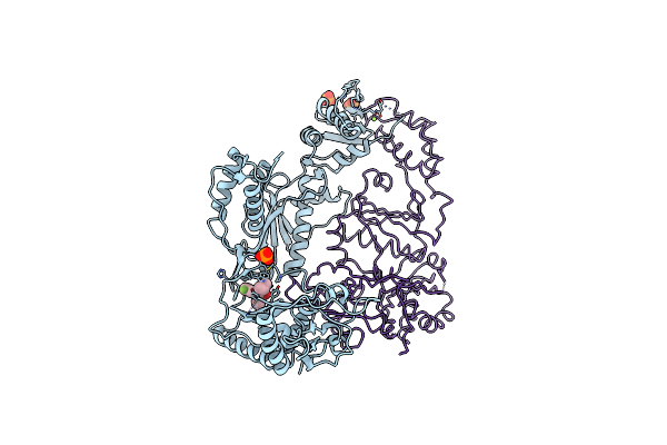 2OPP image