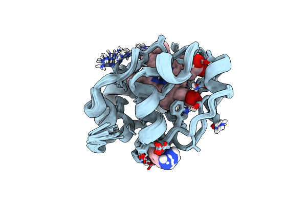 2ORL image
