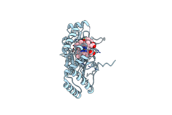 2ORQ image