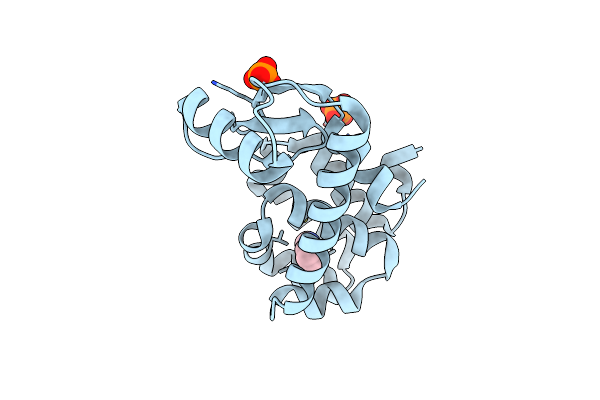 2OTZ image