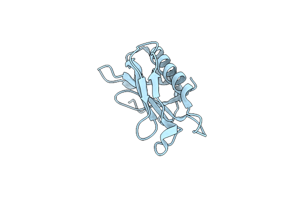 2OUM image