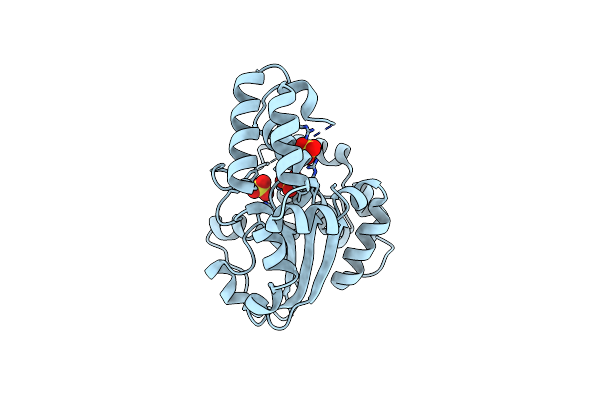 2OVB image