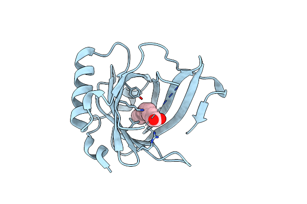 2OVD image