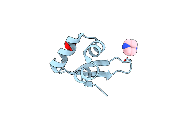 2OVG image