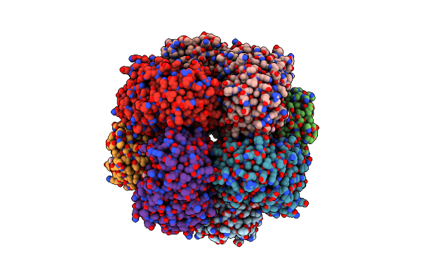 2OX4 image
