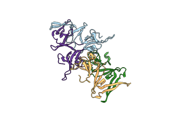 2OX7 image