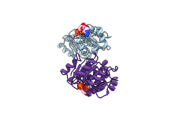 2OXC image