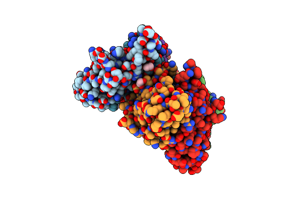 2OXG image