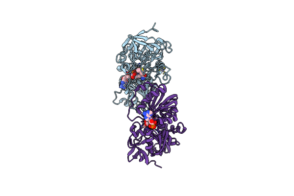 2OXI image