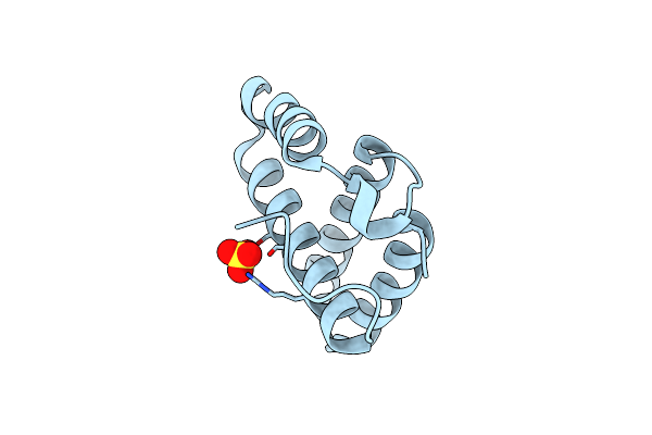 2OXO image