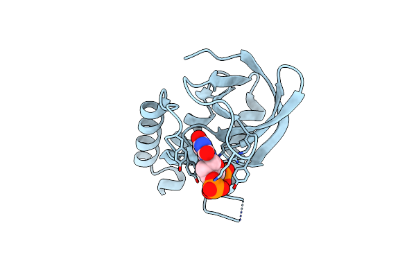 2OXP image