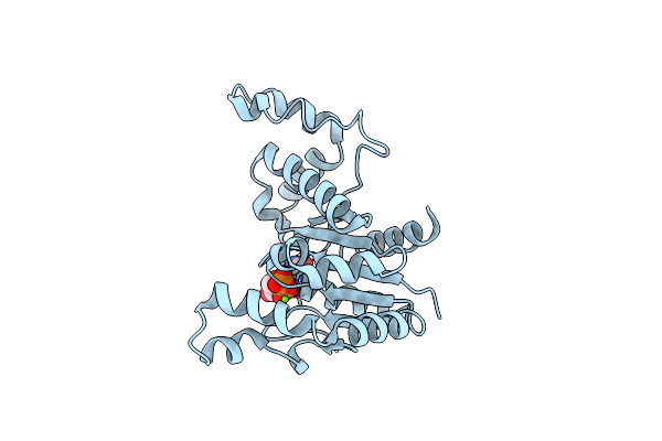 2OXR image