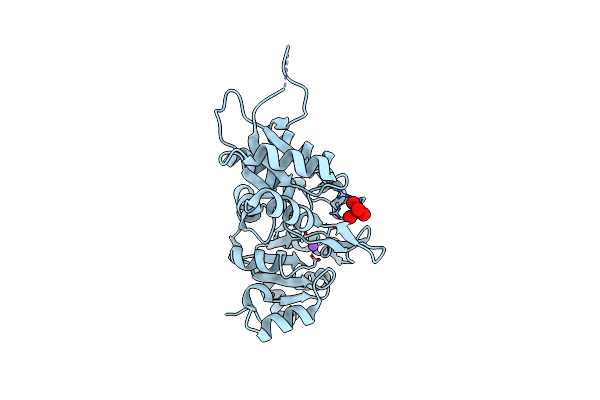 2OYC image