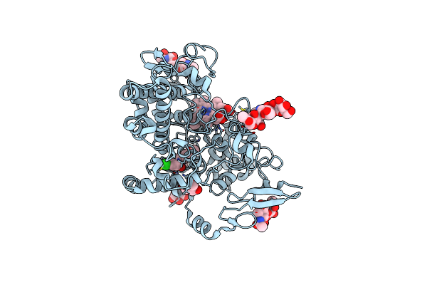 2OYU image