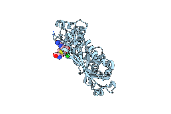 2P02 image