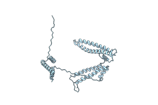 2P03 image
