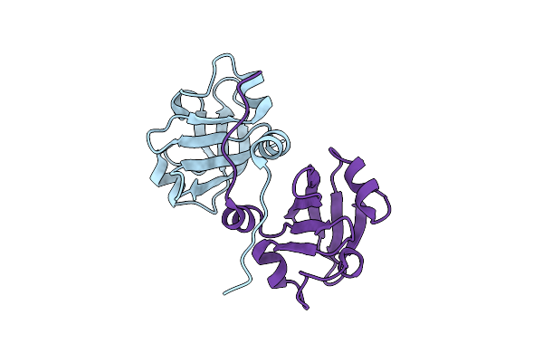 2P04 image