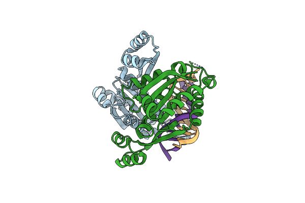 2P0J image