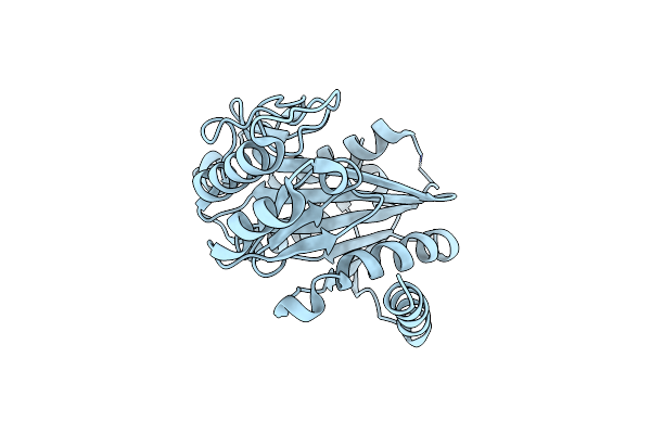 2P0L image