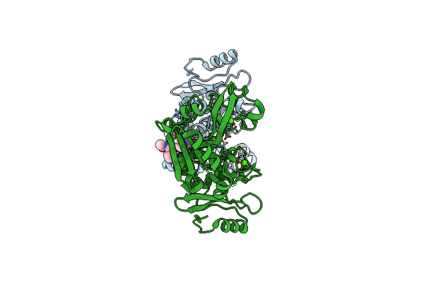 2P0R image