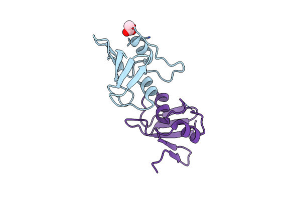 2P13 image