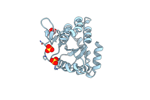 2P14 image