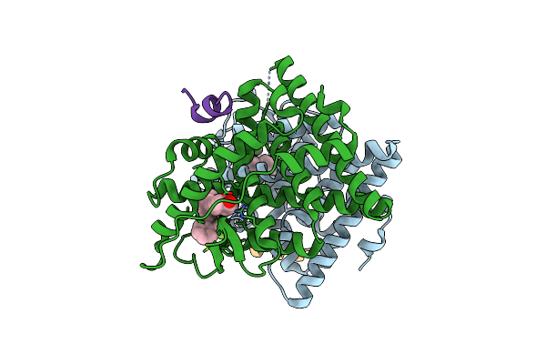 2P15 image
