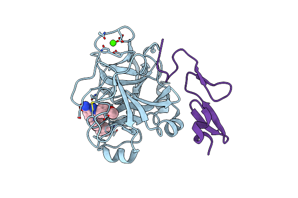 2P16 image