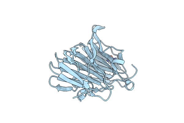2P17 image