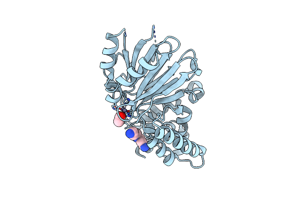 2P18 image