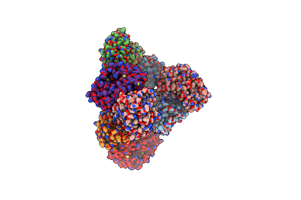 2P1I image